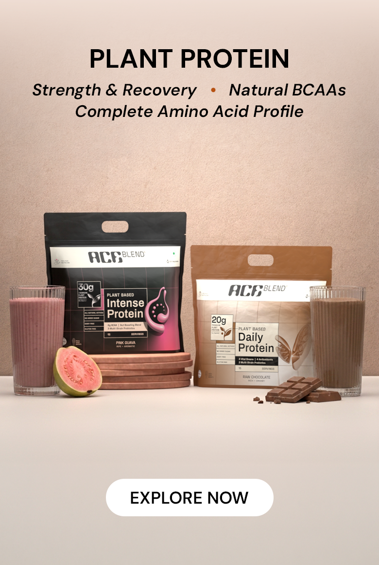 Plant Protein — explore now